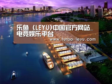 案例展示八