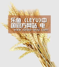 乐鱼 (LEYU)中国官方网站_电竞娱乐平台