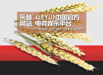 乐鱼 (LEYU)中国官方网站_电竞娱乐平台