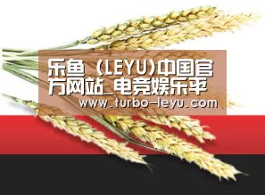 乐鱼 (LEYU)中国官方网站_电竞娱乐平台
